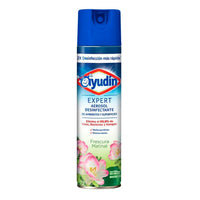 Desinfectante Aerosol Ayudin Expert Frescura Matinal 332 ml